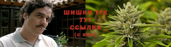 шишки Баксан