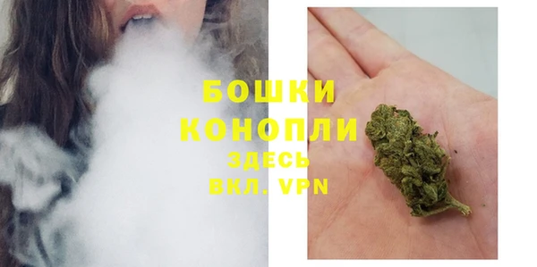шишки Баксан