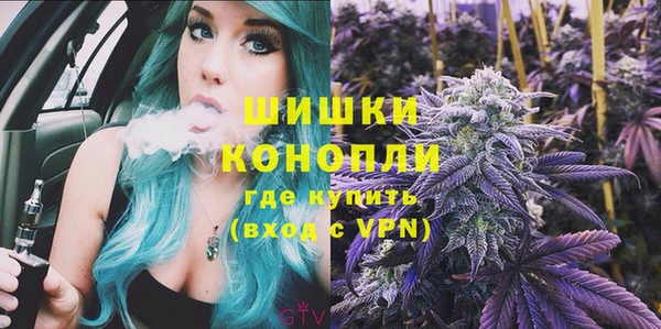 шишки Баксан